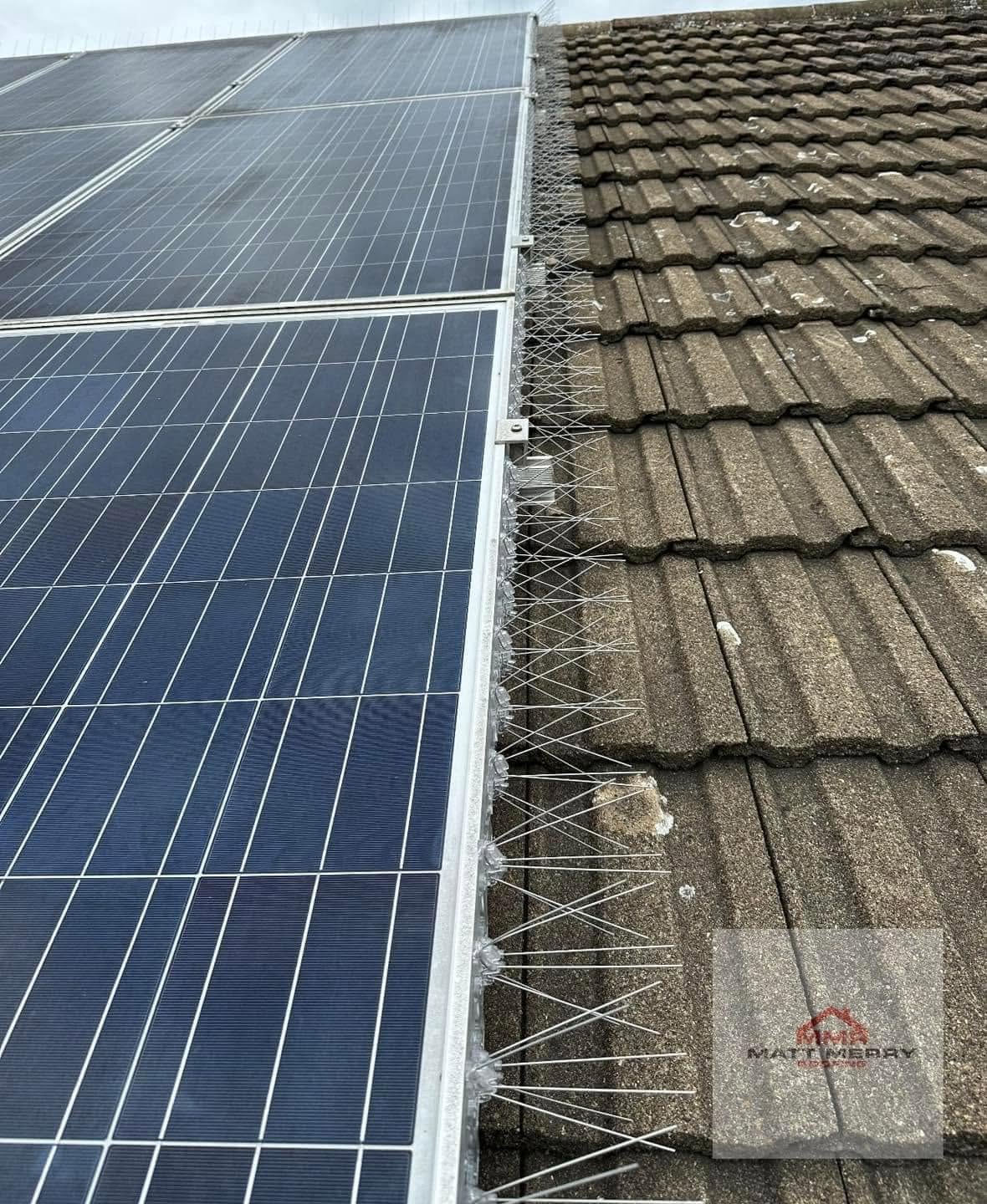 Roof tiling neatly finished around solar panel array with bird-proofing comb installed — Matt Merry Roofing, Hinckley